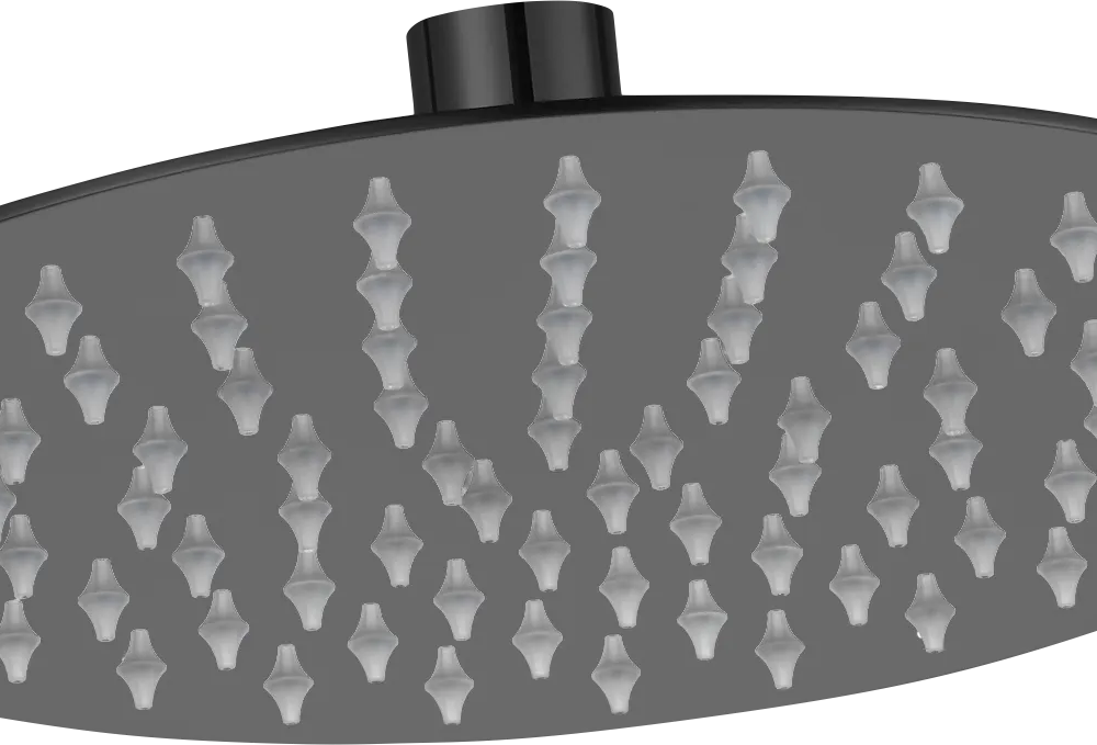 Brevik Round Shower Thin Shower Rose 304 SS 200mm Black